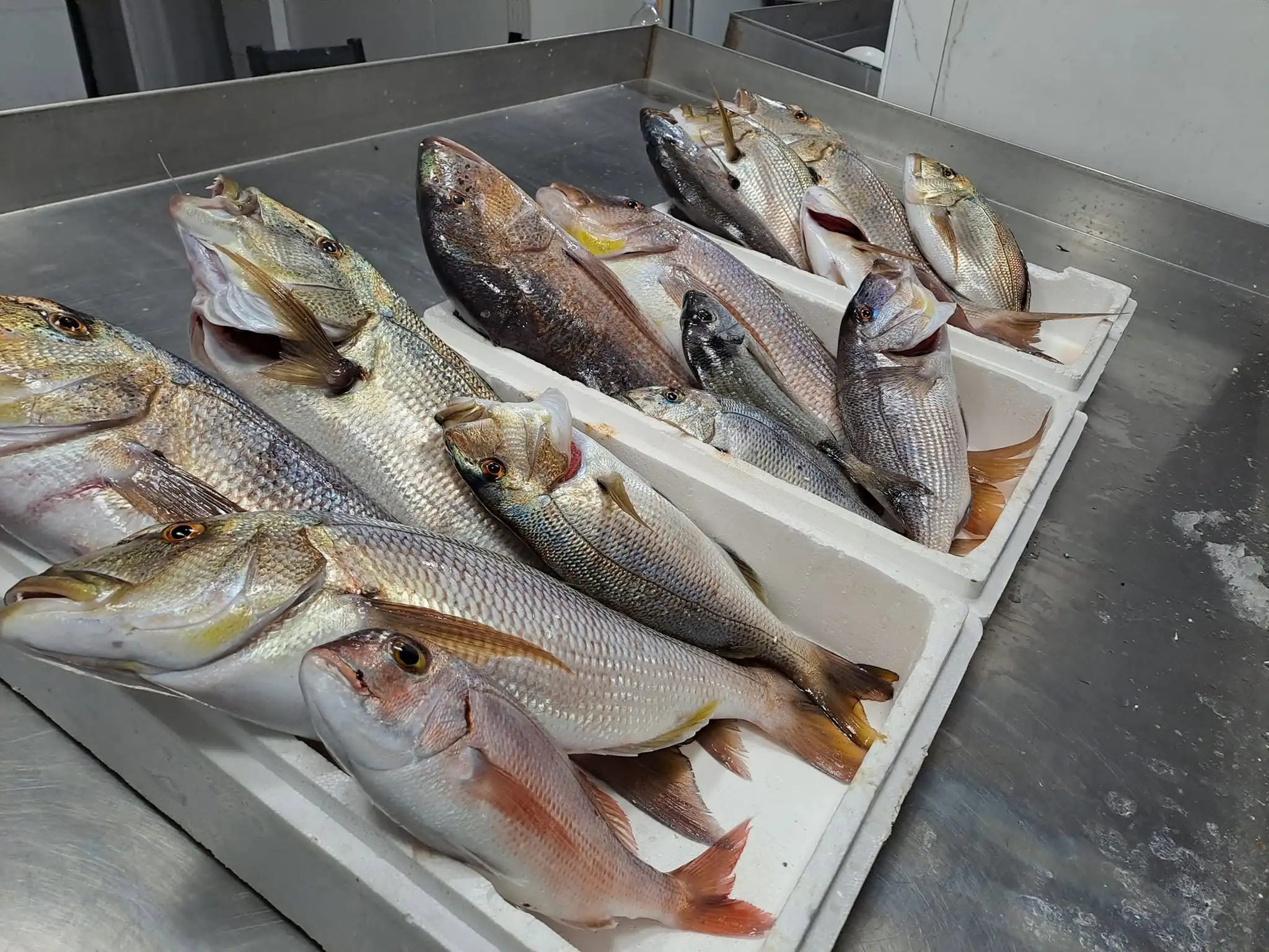 Exterior view of Skiathos Fish Market shop on Ethnikis Antistaseos in Skiathos Town