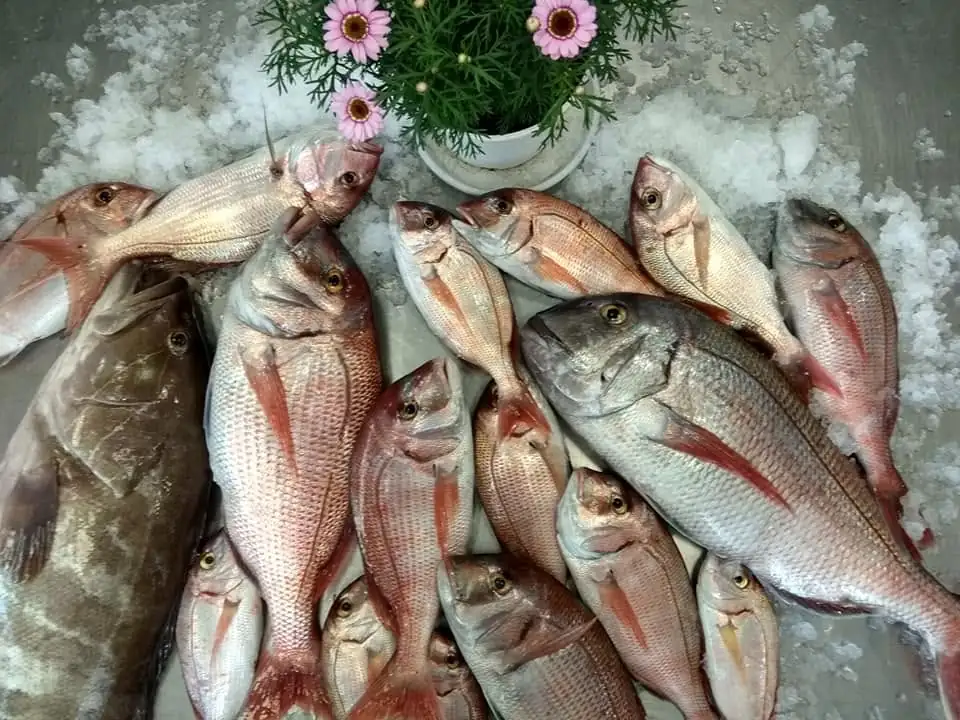 Temperature-controlled wholesale seafood distribution from Skiathos Fish Market to restaurants and yachts
