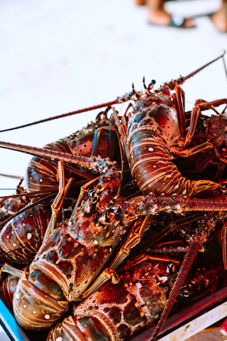 Custom commercial seafood preparation